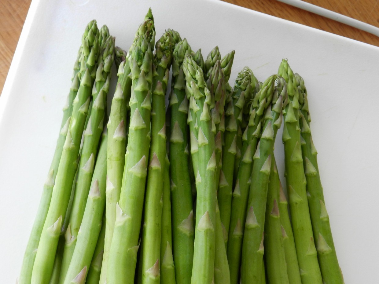 What’s Fresh? Asparagus!