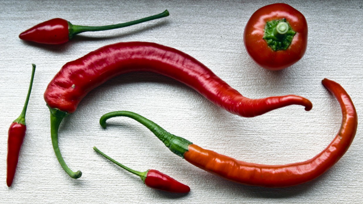 Five Perfect Peppers: From Mild to Wild