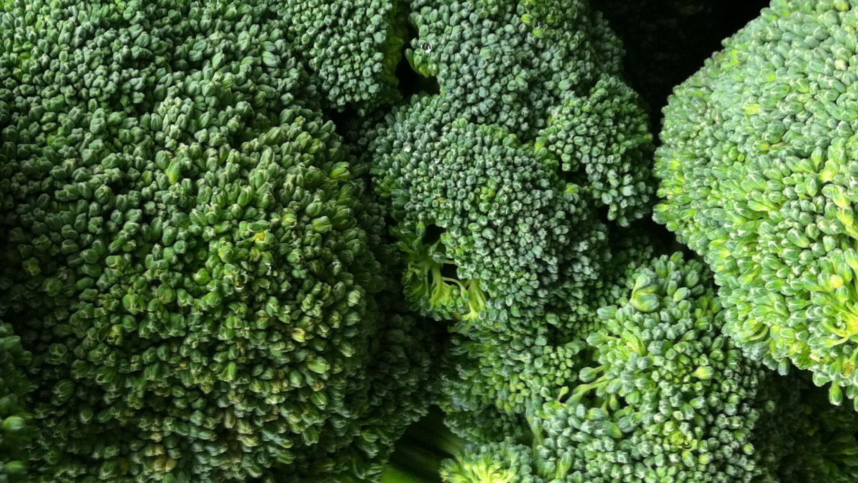 What’s Fresh? Broccoli!