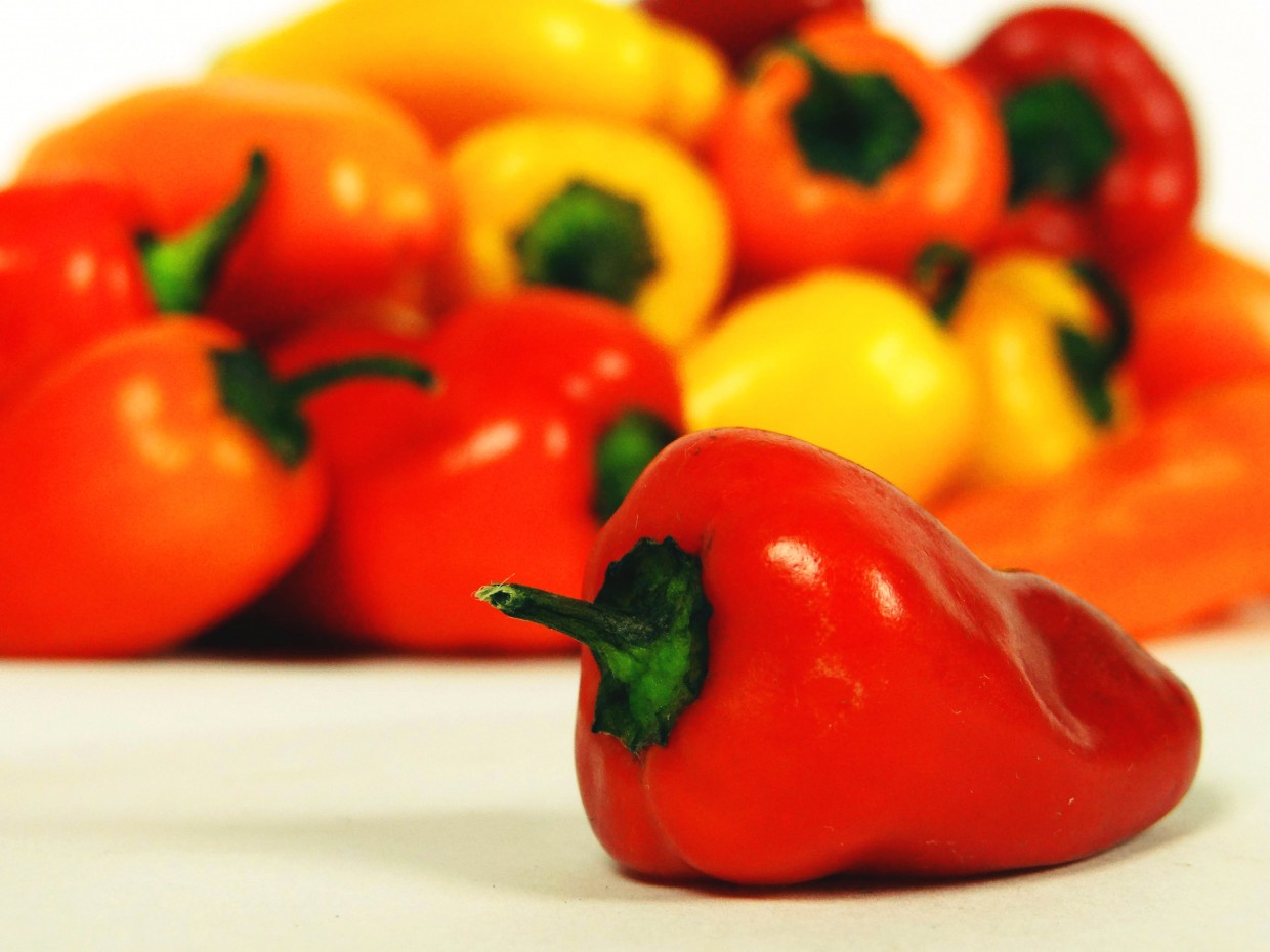 What’s Fresh? Mini Sweet Mixed Peppers!