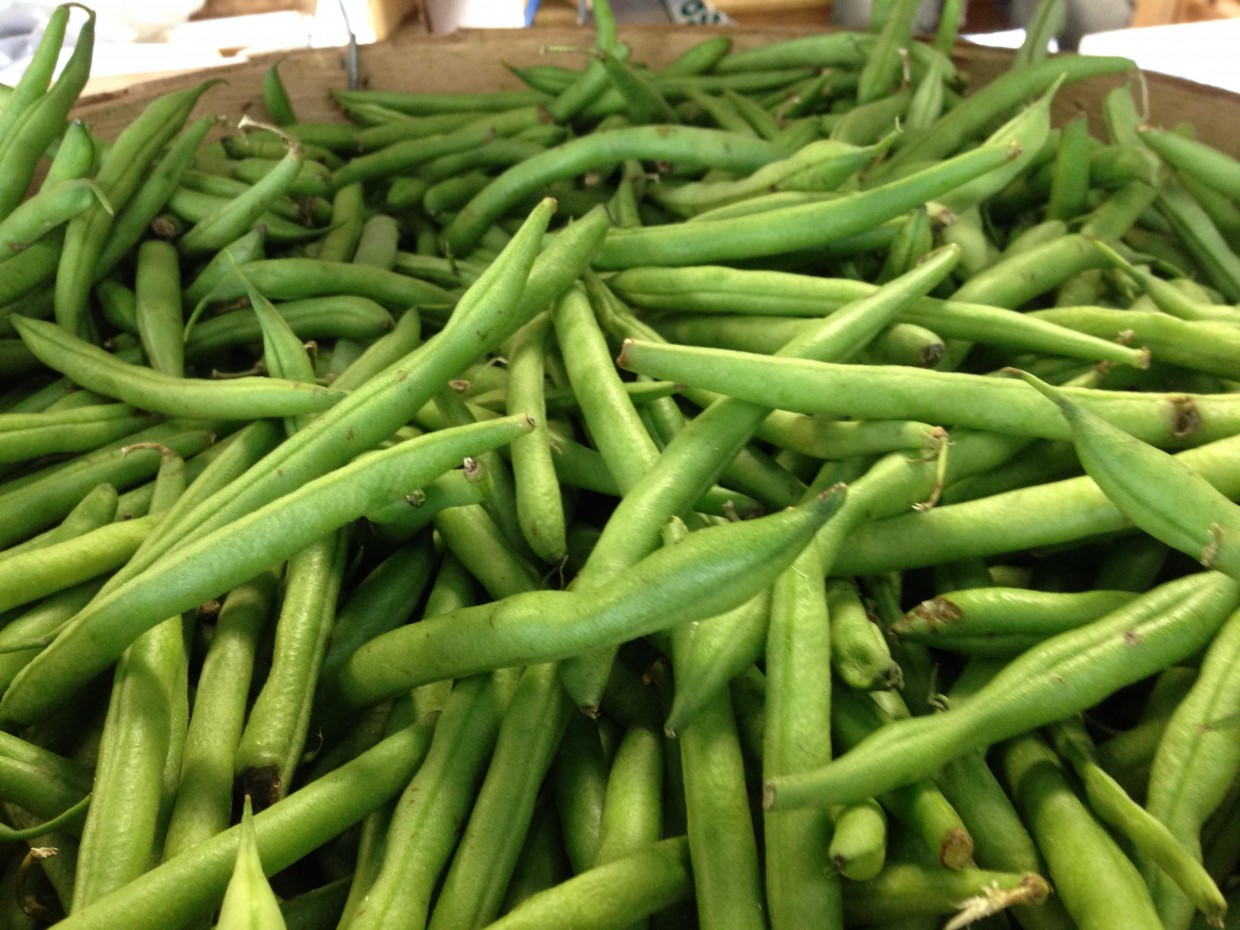 What’s Fresh? Green Beans!