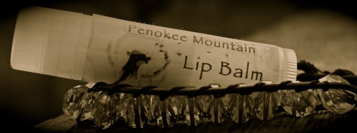 Wellness Wednesday: Penokee Mountain Lip Balm