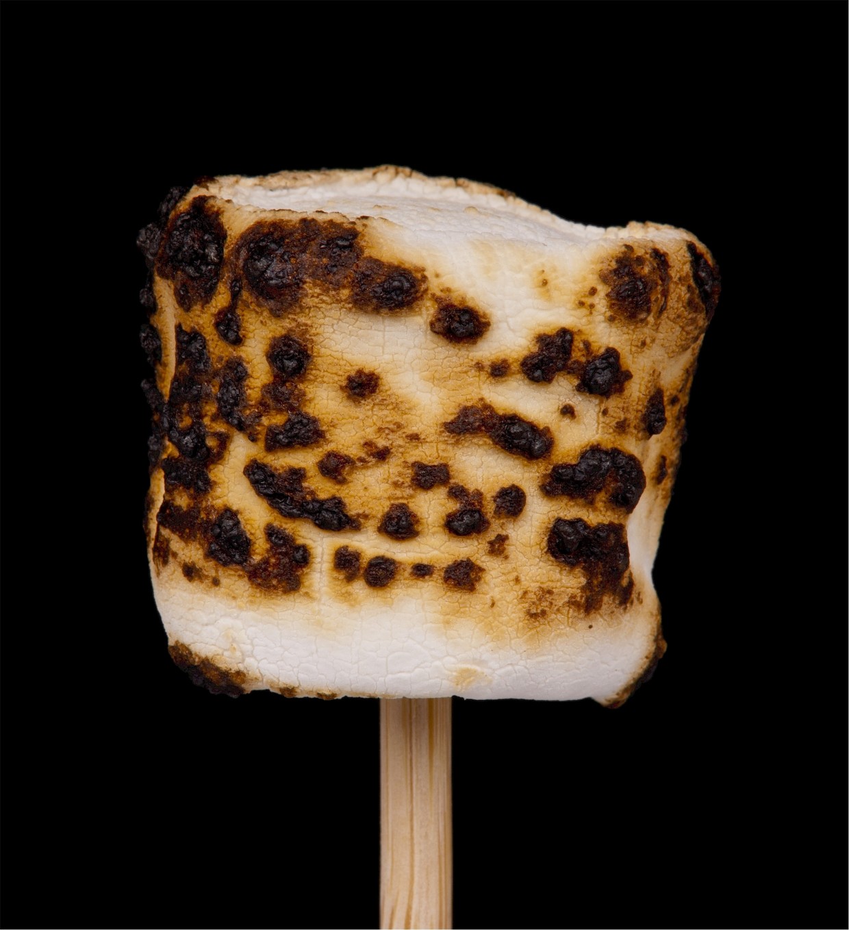 Ooey Gooey S’mores…with a Twist!
