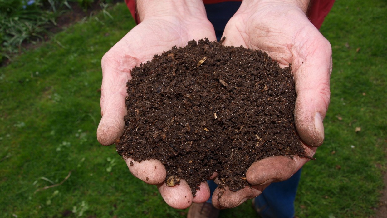 Get the Dirt on Compost!