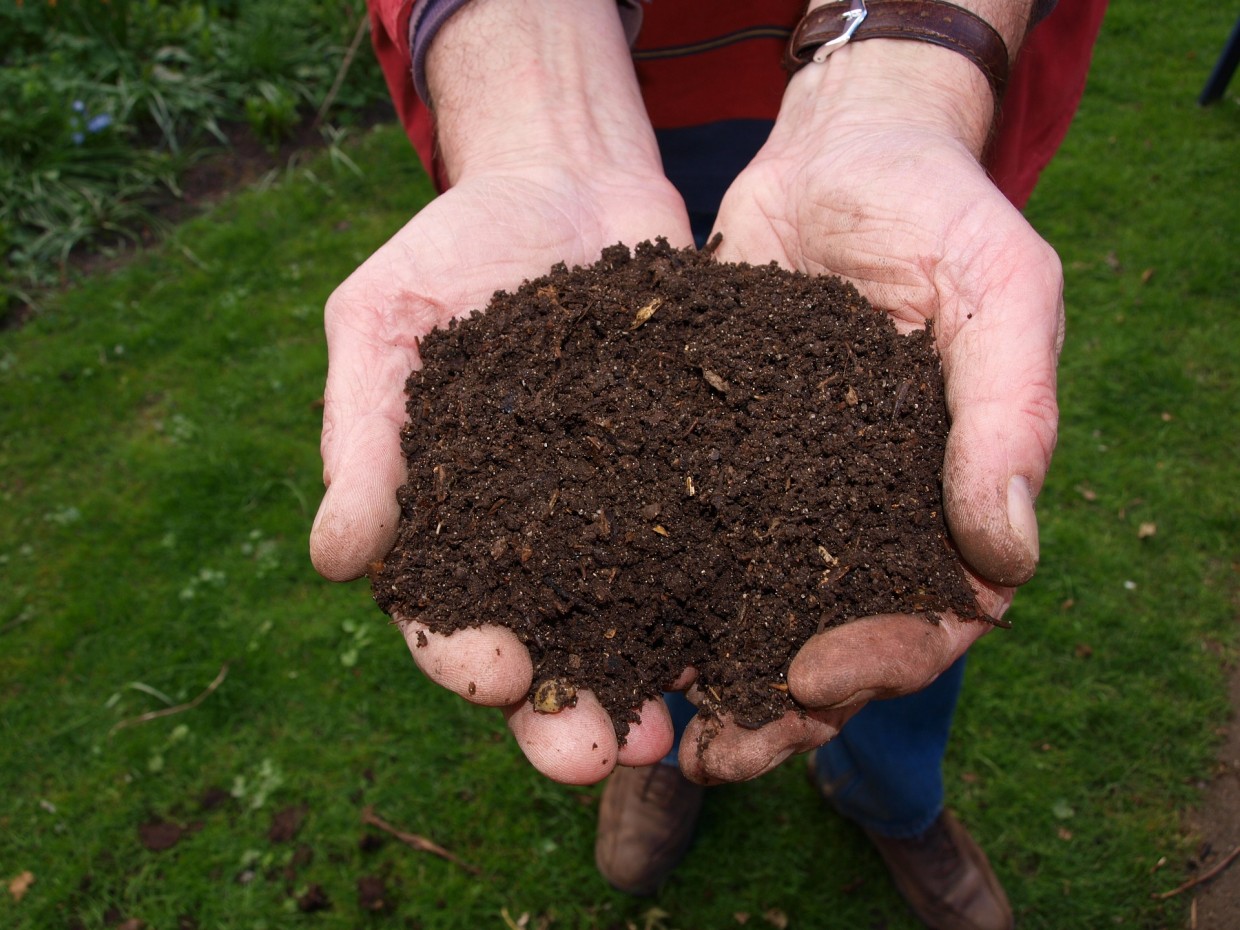 Get the Dirt on Compost!