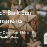 Birch Bark Star Ornaments