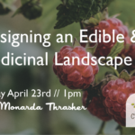 Designing an Edible and Medicinal Landscape