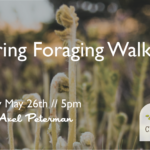 Spring Foraging Walk