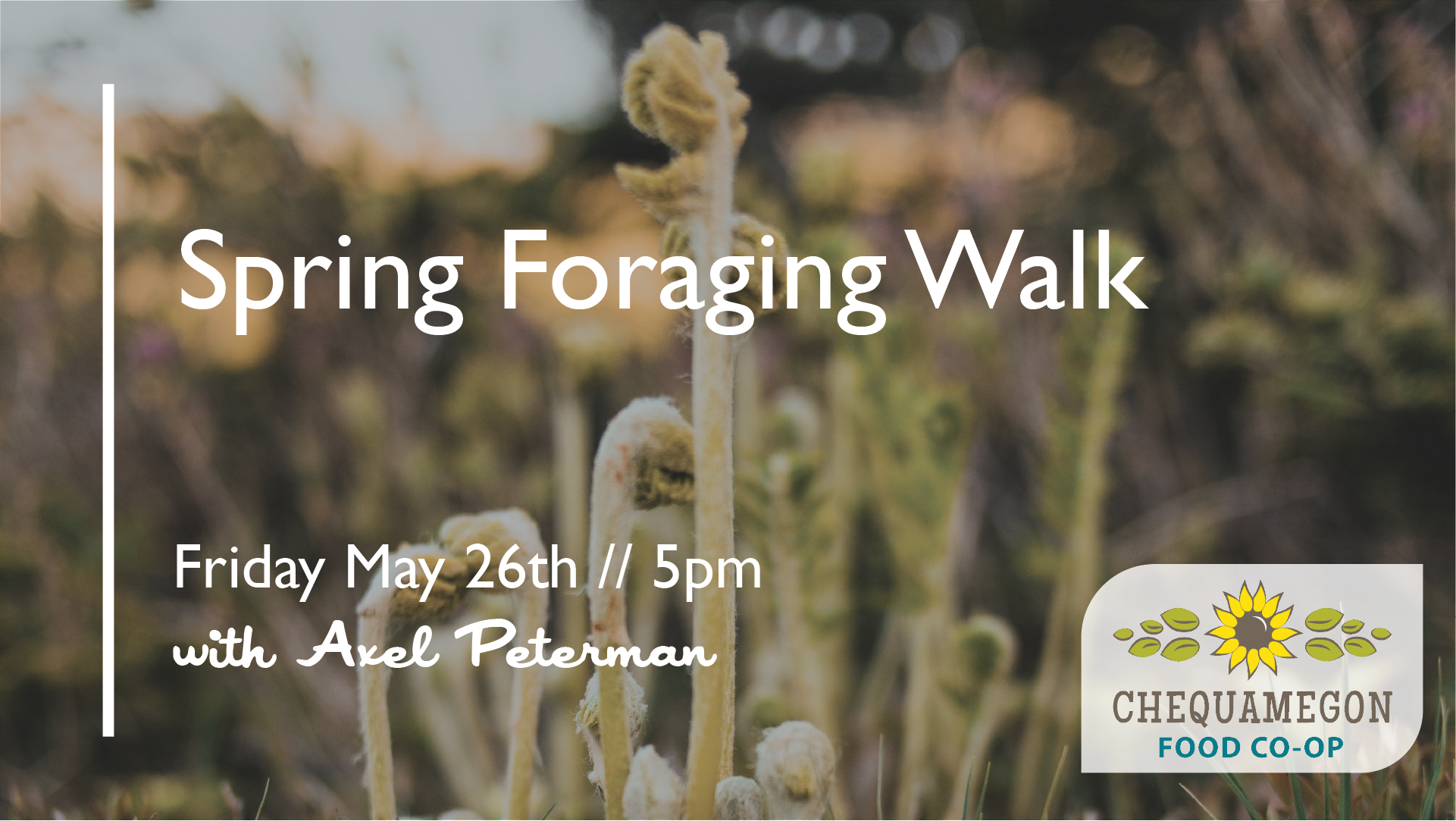 Spring Foraging Walk