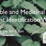 Edible and Medicinal Plant Identification Walk