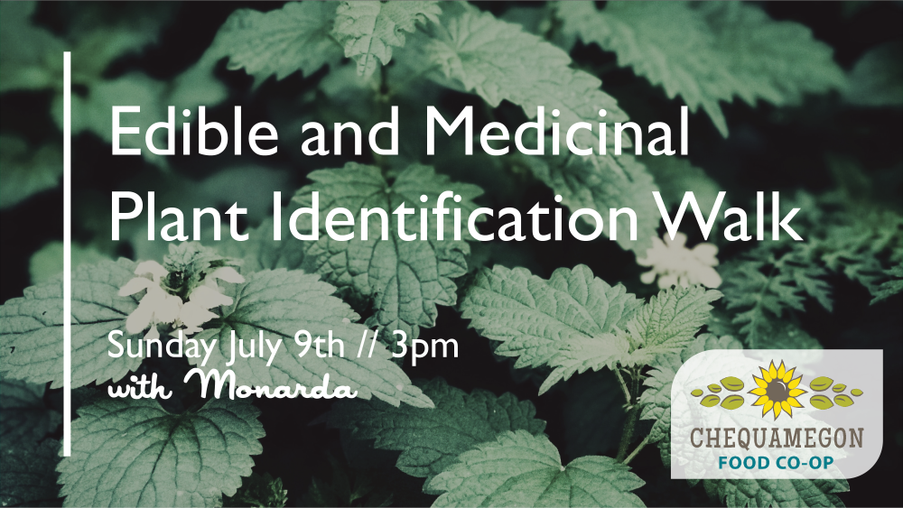 Edible and Medicinal Plant Identification Walk